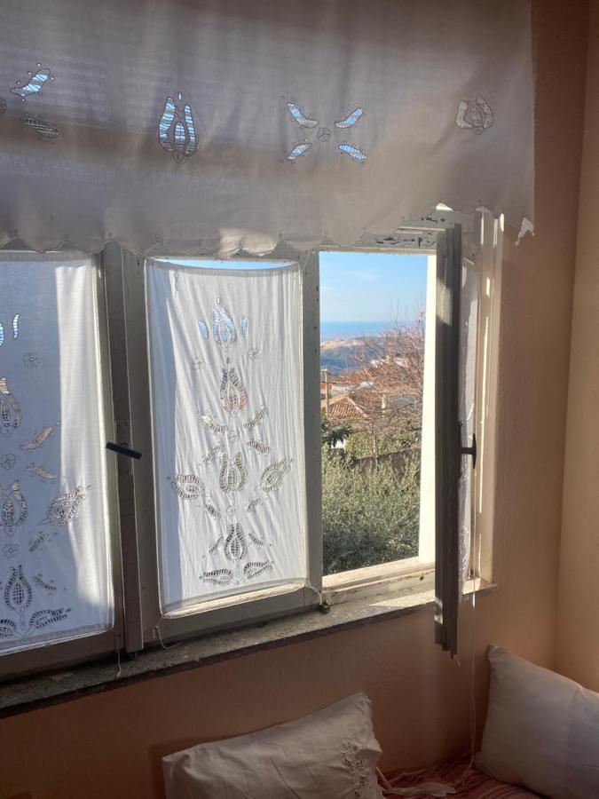 Vila Llulla Krujë 외부 사진