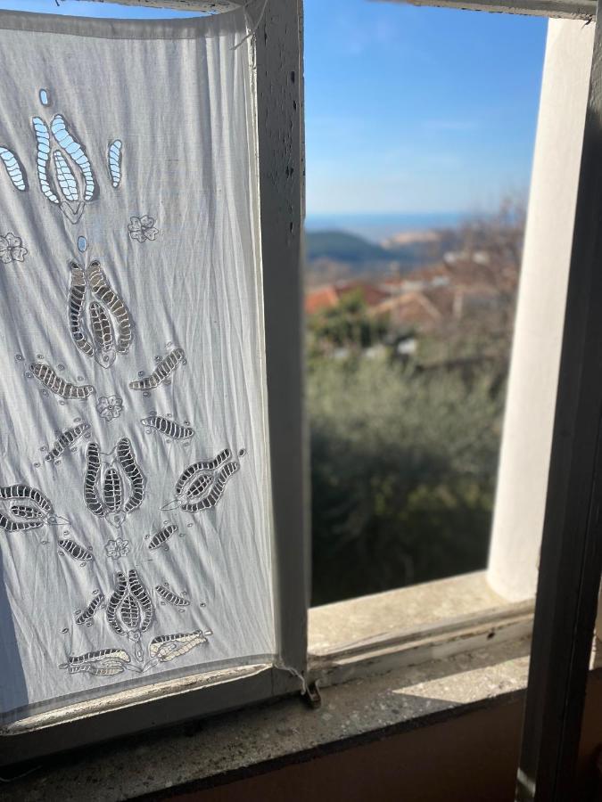 Vila Llulla Krujë 외부 사진