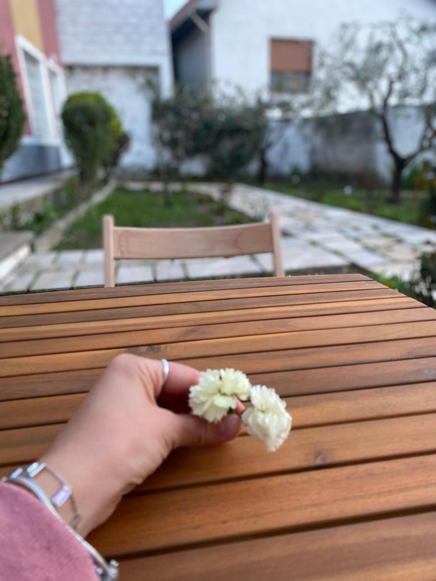 Vila Llulla Krujë 외부 사진